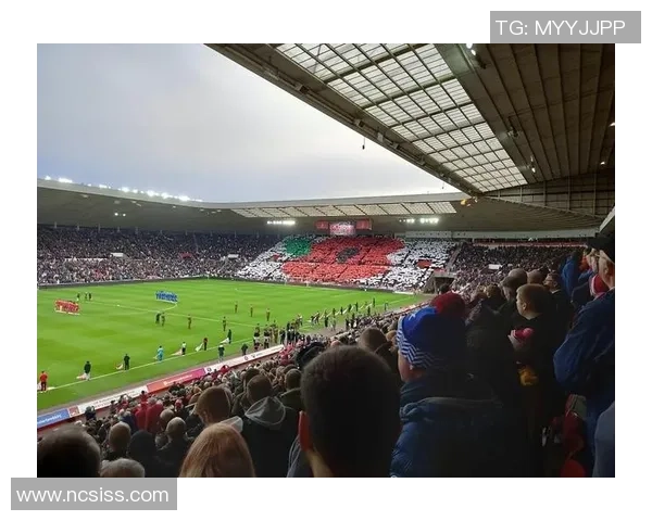 李姓足球明星盘点他们在绿茵场上的辉煌成就与传奇故事