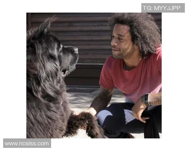 足球明星与爱犬的温馨时刻精彩视频分享让你感受他们的深厚情谊