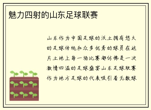 魅力四射的山东足球联赛