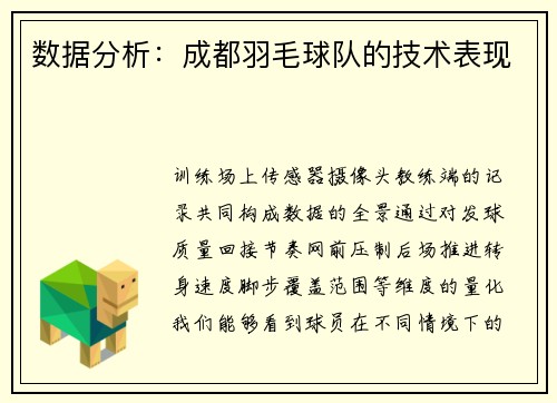 数据分析：成都羽毛球队的技术表现