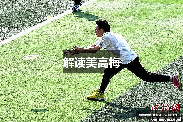 解读美高梅